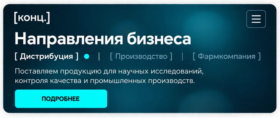 Раздел «Направления бизнеса» сайта Концентрации